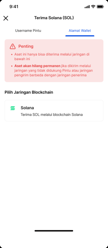 Ilustrasi (diedit dari screenshot resmi Pintu): terima SOL, pilih jaringan Solana. Angka/harga hanya contoh.