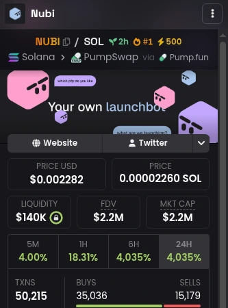 Contoh profil Dex Paid di Dexscreener (token NUBI): ada logo, banner, serta tombol Website dan Twitter. Ikon ⚡500 di atas adalah Boost